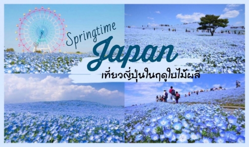 ทัวร์ญี่ปุ่น - เที่ยวญี่ปุ่นในฤดูใบไม้ผลิ นั้นมีอะไรดี ที่ทำให้คุณนั้นต้องอยากไป!