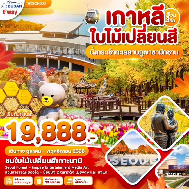 ทัวร์เกาหลีใบไม้เปลี่ยนสี ภูเขาซามักซาน