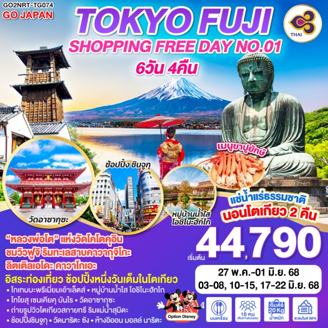 ทัวร์ญี่ปุ่น TOKYO FUJI SHOPPING FREE DAY NO.01