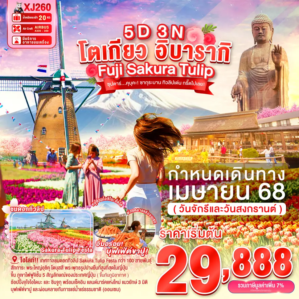 ทัวร์ญี่ปุ่น TOKYO IBARAKI FUJI SAKURA TULIP 5D 3N ซุปตาร์...คุบุคะ! ซากุระบาน ทิวลิปเด่น กรี๊ดไปเลย