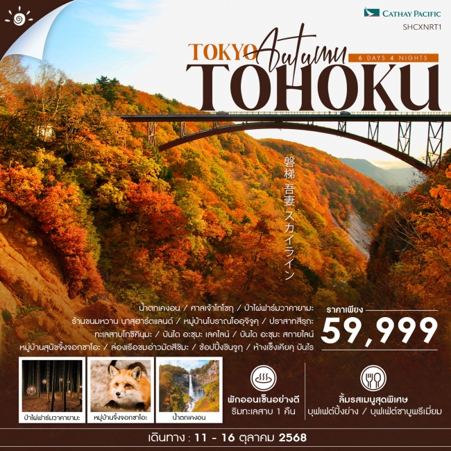 ทัวร์ญี่ปุ่นTOKYO TOHOKU AUTUMN 