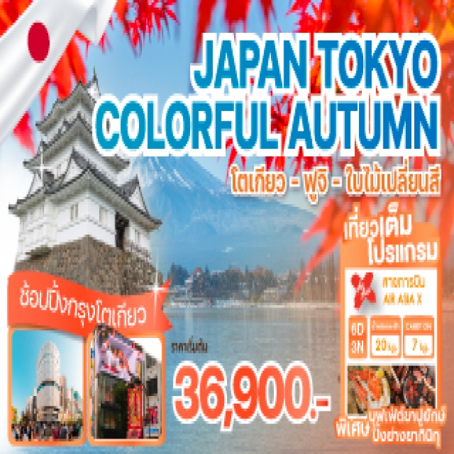 ทัวร์ญี่ปุ่น JAPAN TOKYO COLORFUL AUTUMN