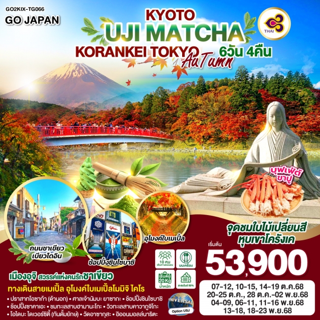 ทัวร์ญี่ปุ่น KYOTO UJI MATCHA KORANKEI TOKYO AUTUMN